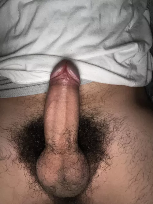 who’s trynna taste this cock