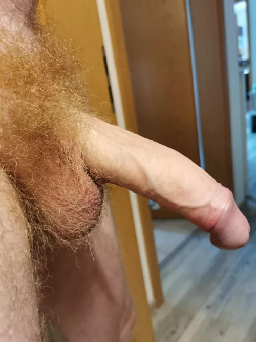 Should I shave my balls?