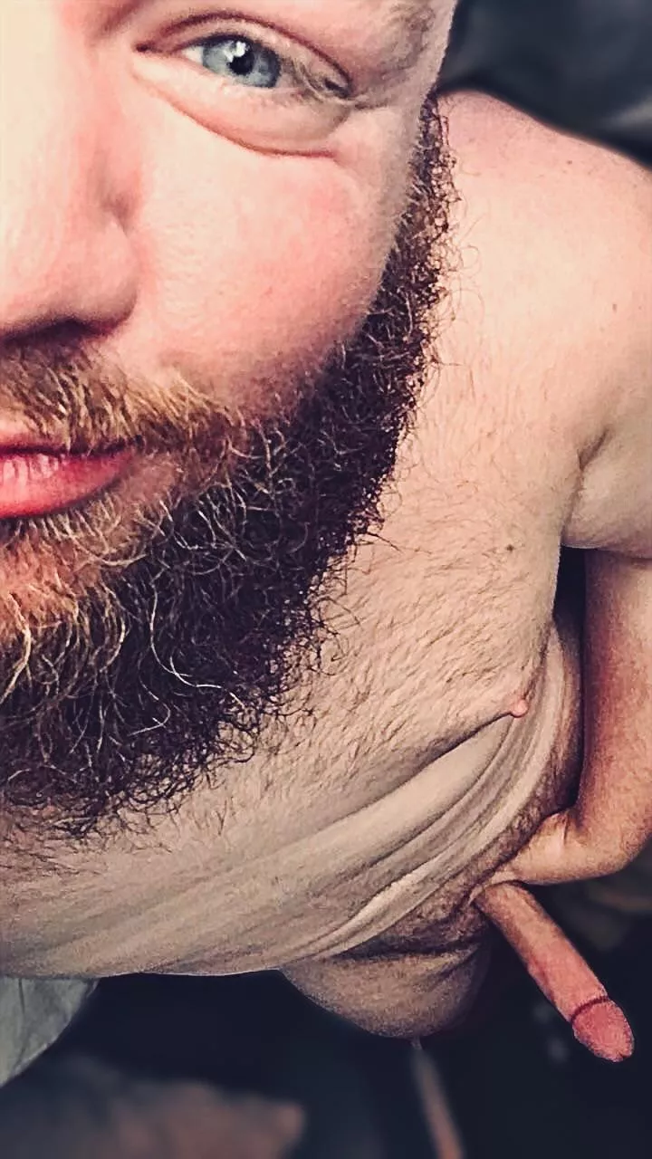 Wood morning, boys (38)