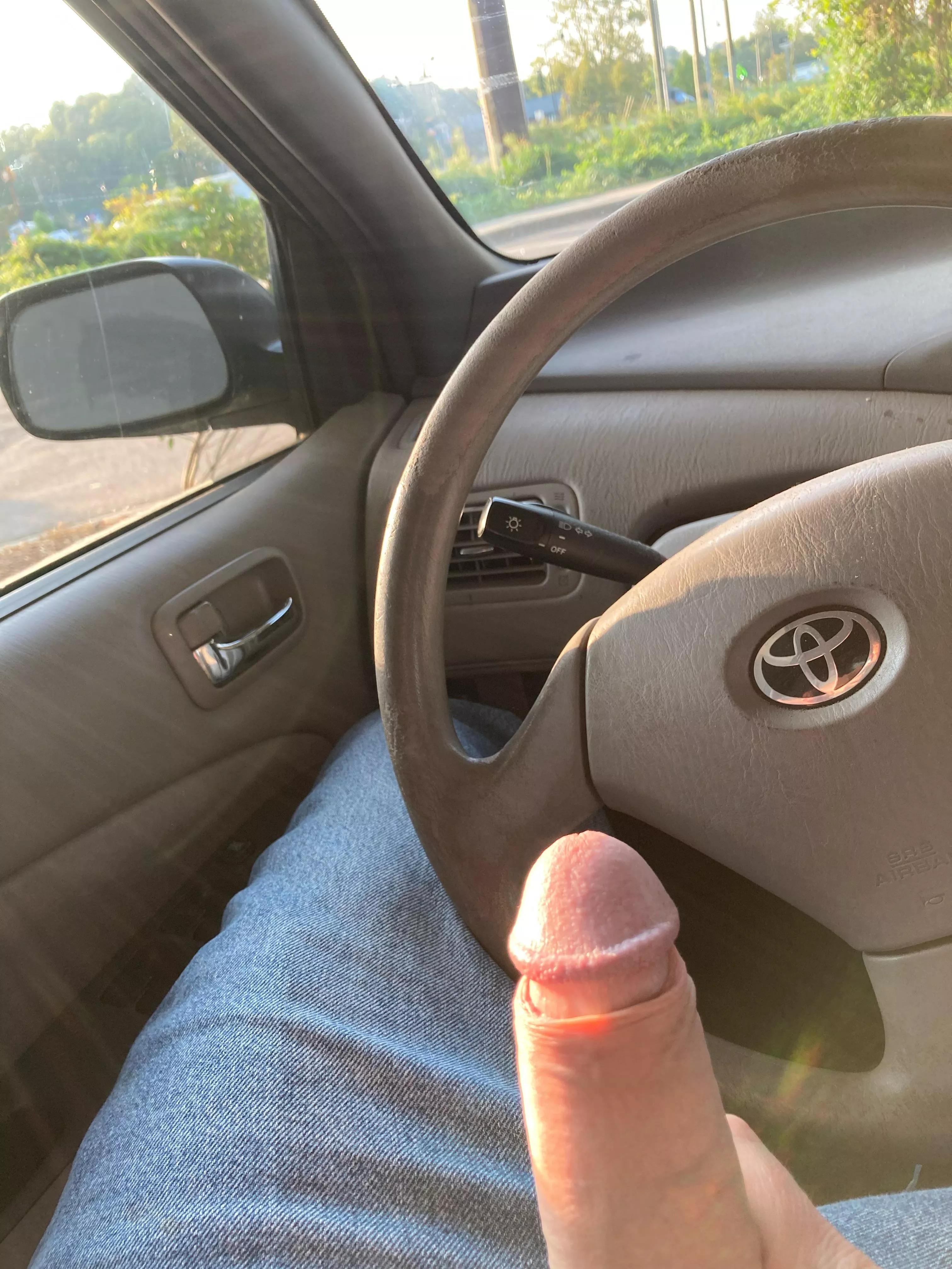 Wood you stop and watch?