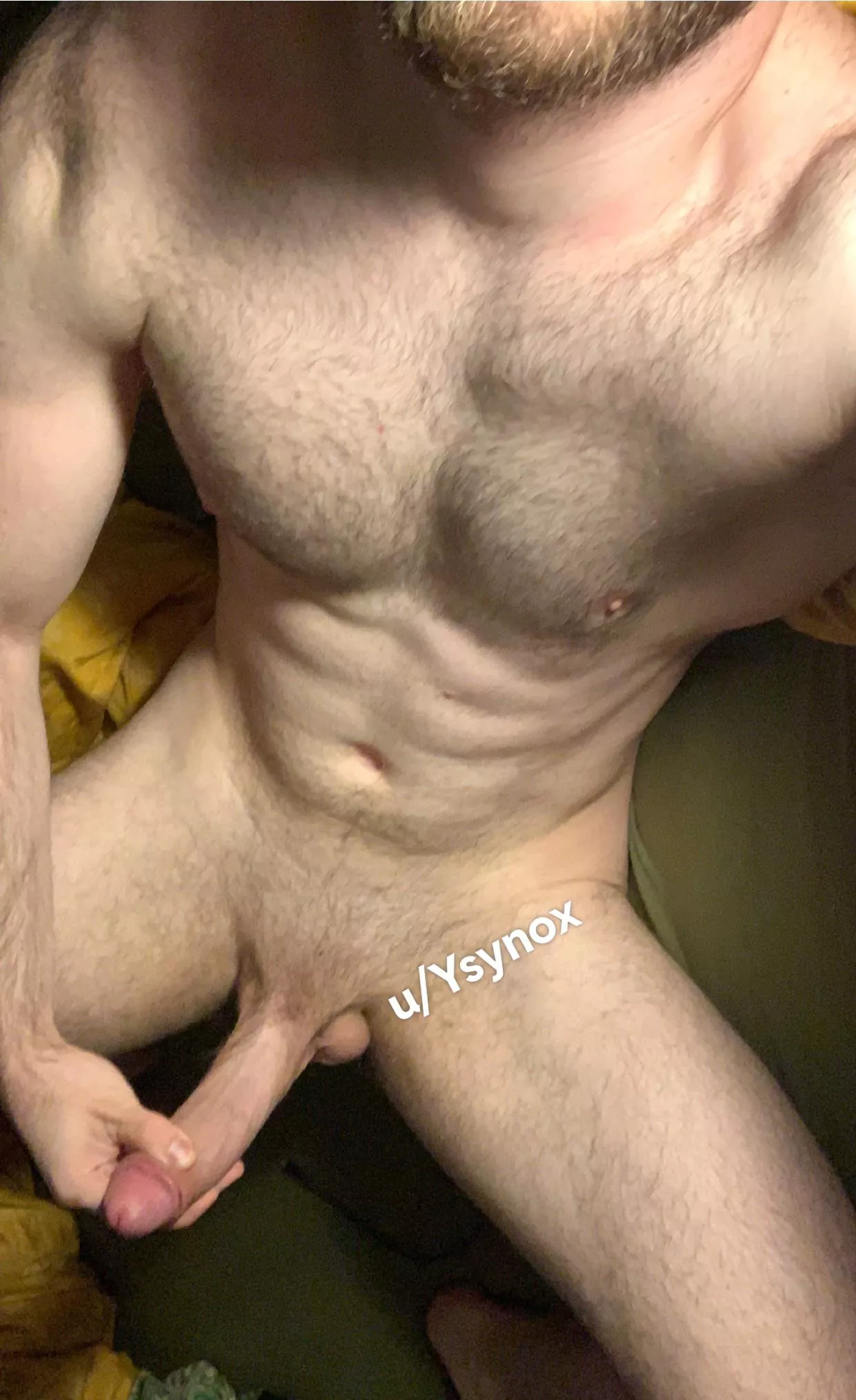 Would you let a fit German guy breed you?🇩🇪