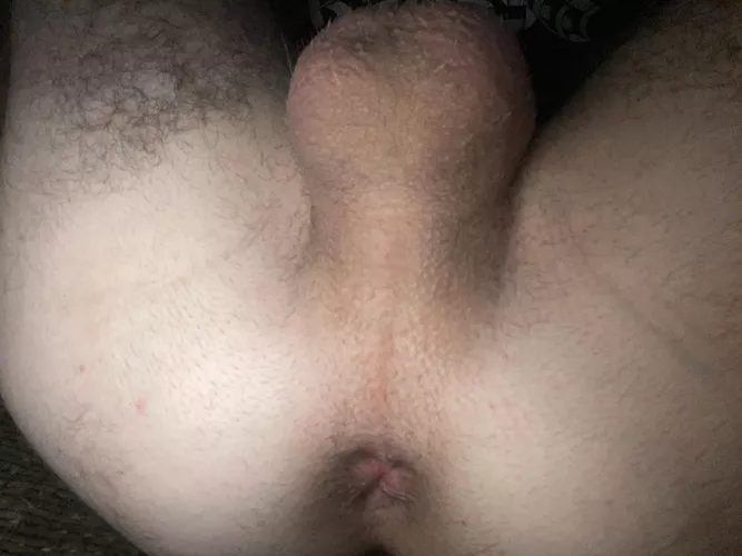 28m. Rim my ass and lick my balls