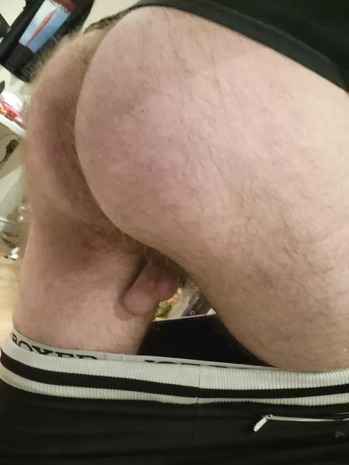 Do you like my low hangers and hairy ass?
