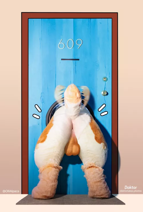 Drawover (Braeburned)