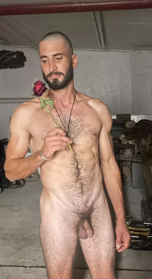 It’s my birthday, but the rose is for you