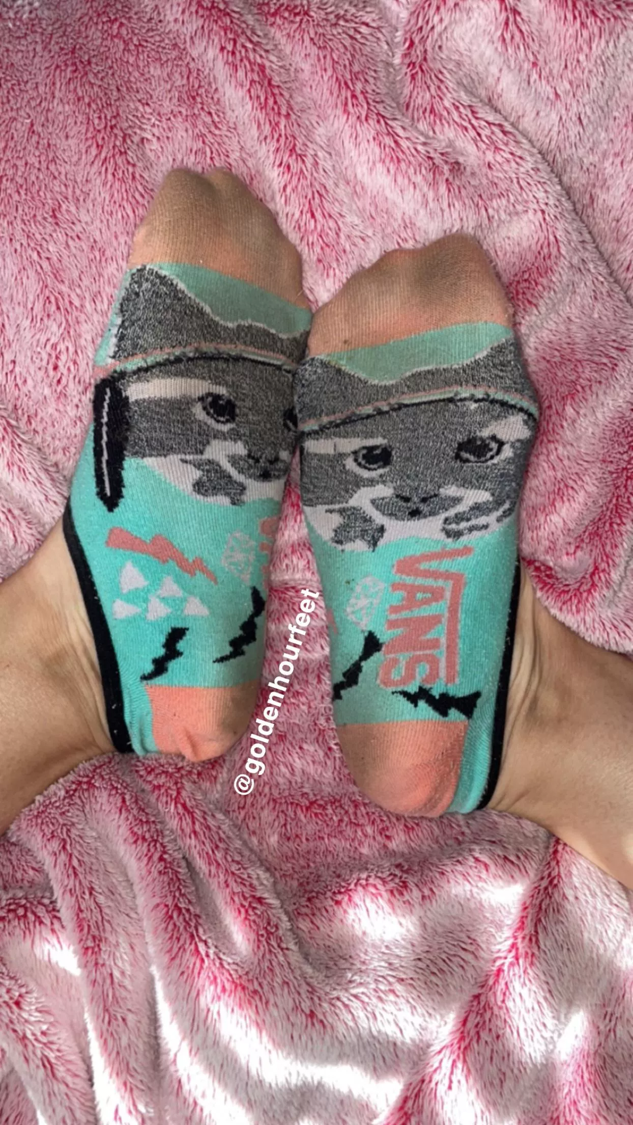 [selling] smelly no show socks🔥