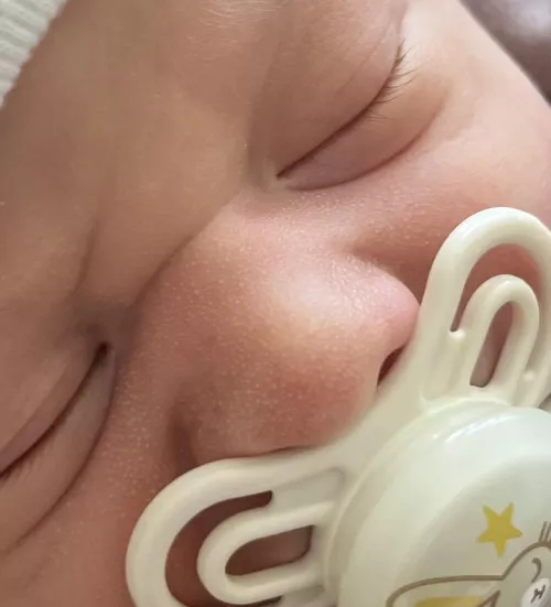 Forbidden Pops - Newborn Edition