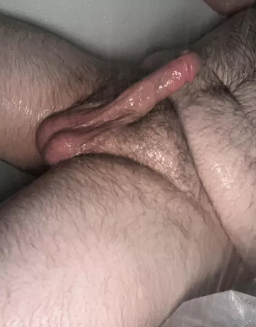 Happy Hump day studs