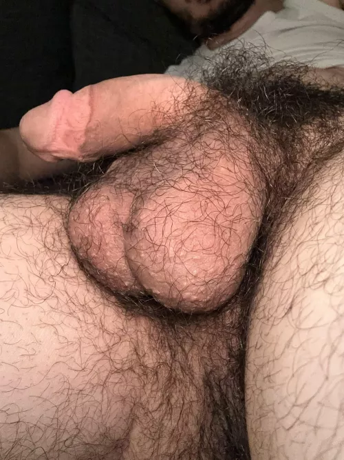 I’m addicted to hairy balls 🤷🏻‍♂️