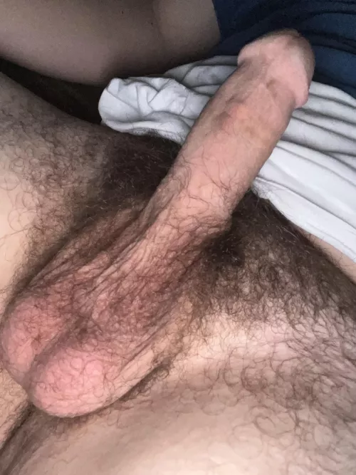 My cock