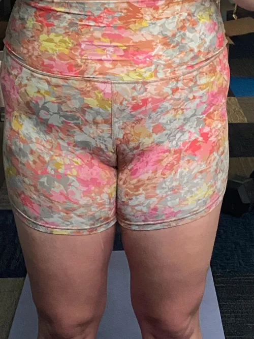 My weightlifting camel says hi