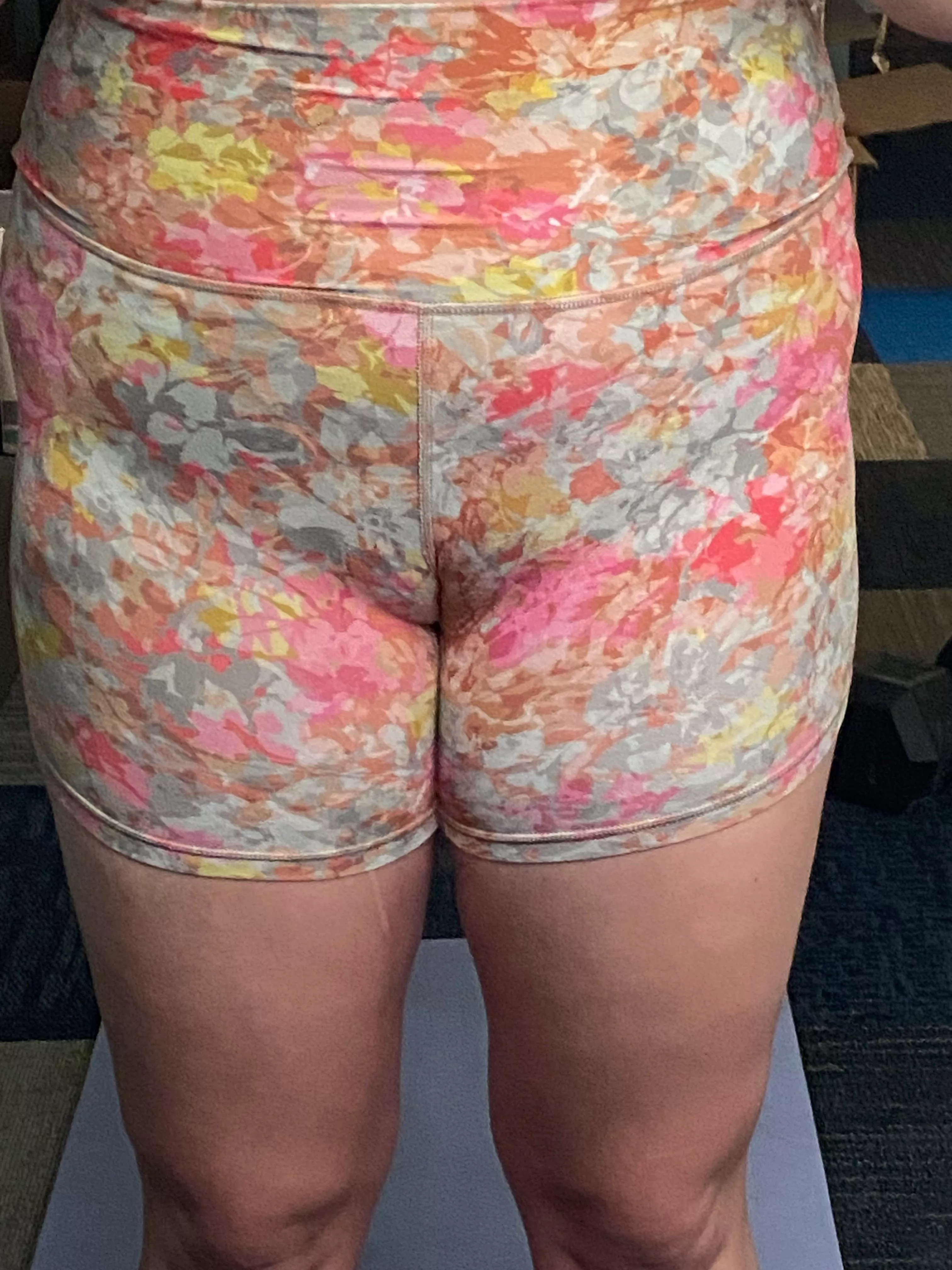 My weightlifting camel says hi