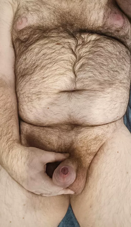 Need an assistant for those WFH days