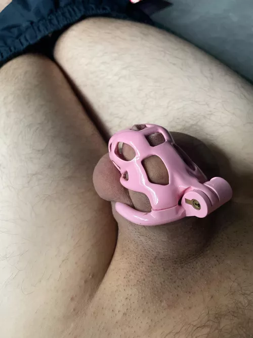 Permanently locked by my key holder and already think it’s time to downsize. Do you agree?