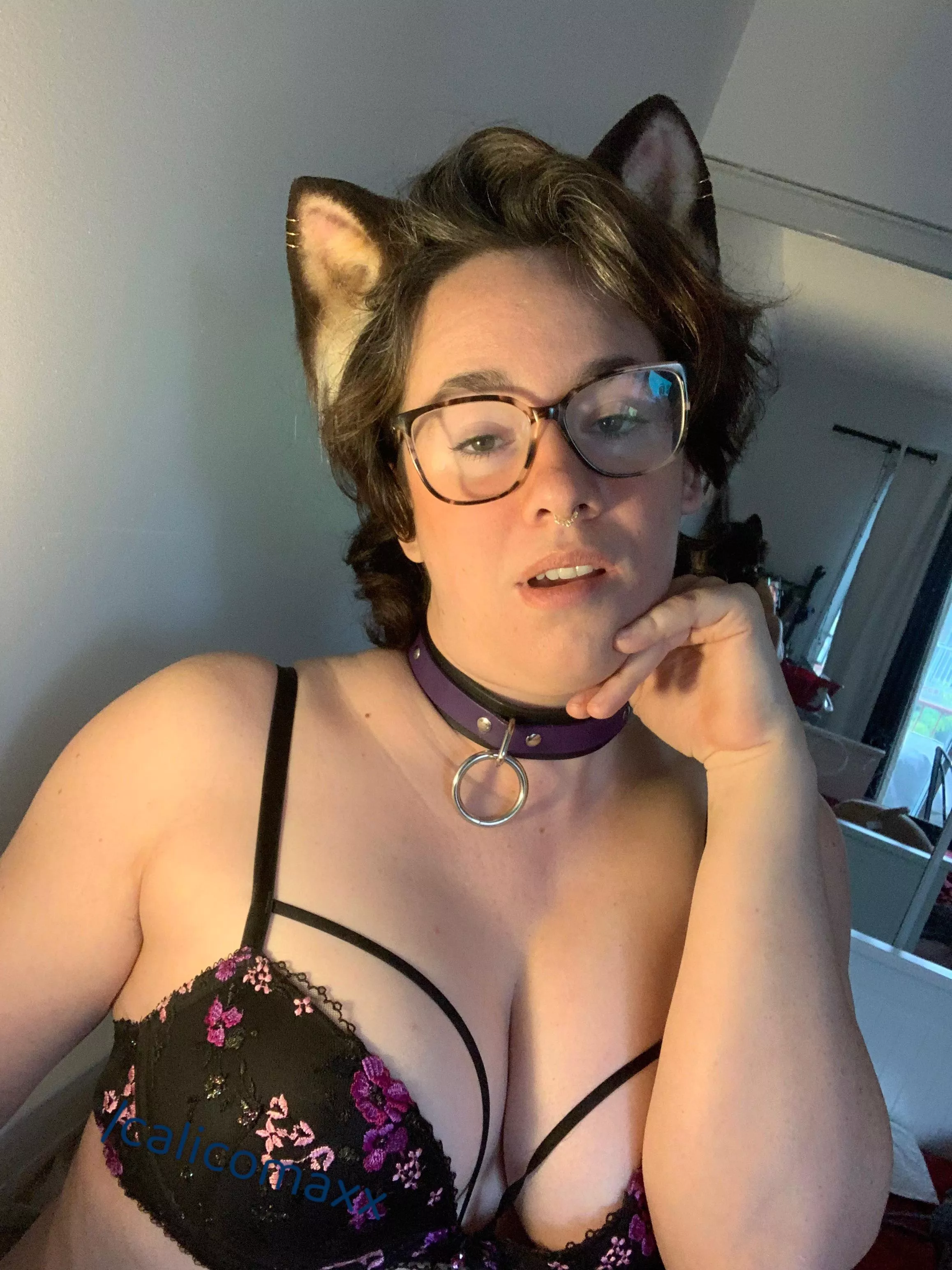 This cute Calico kitty needs a master