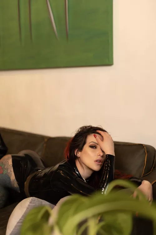 Welcome to your wildest dream.