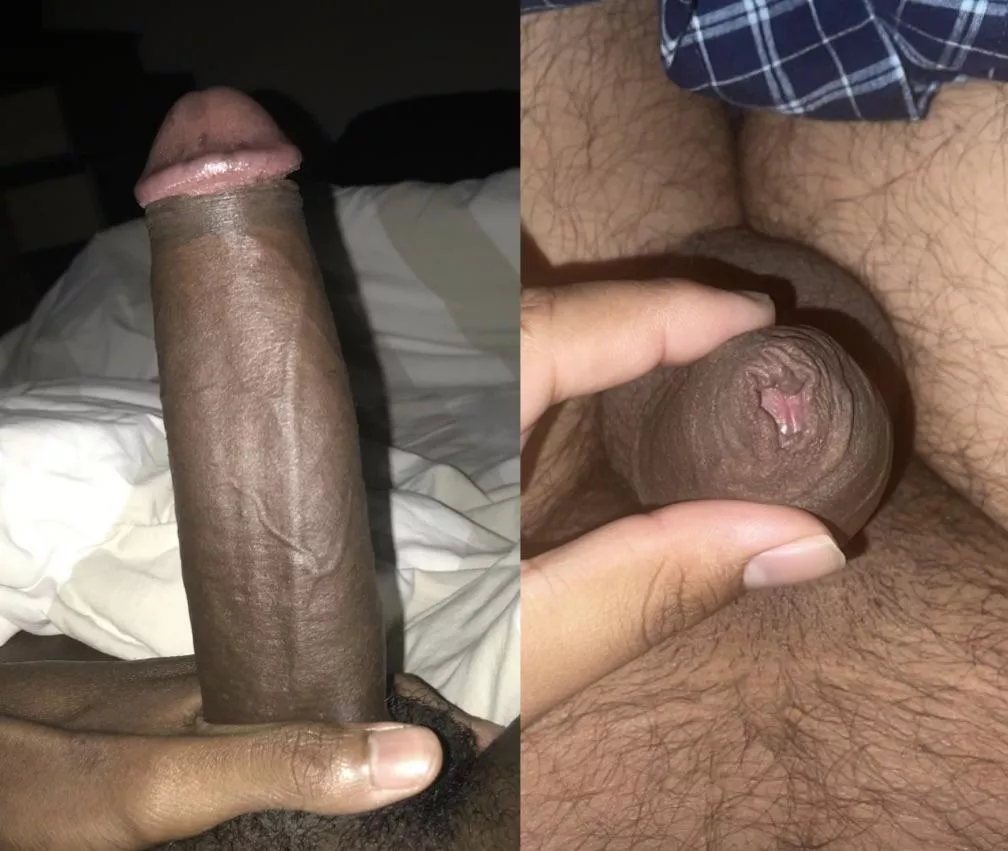 bbc pic I received vs my tiny Indian shrimp dick bf 🍤