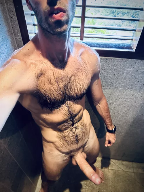 Like my rainforest? 🦍