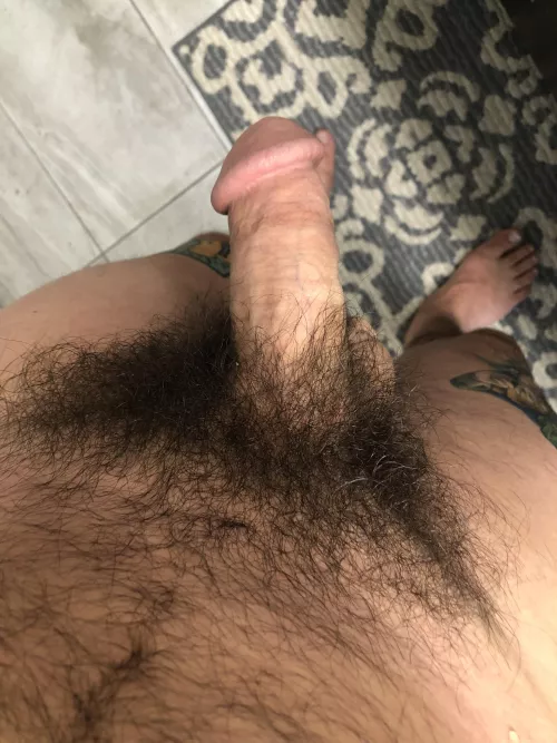 My bush is always outlandish