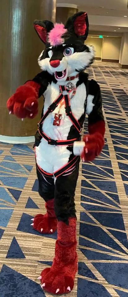 My new fursuit