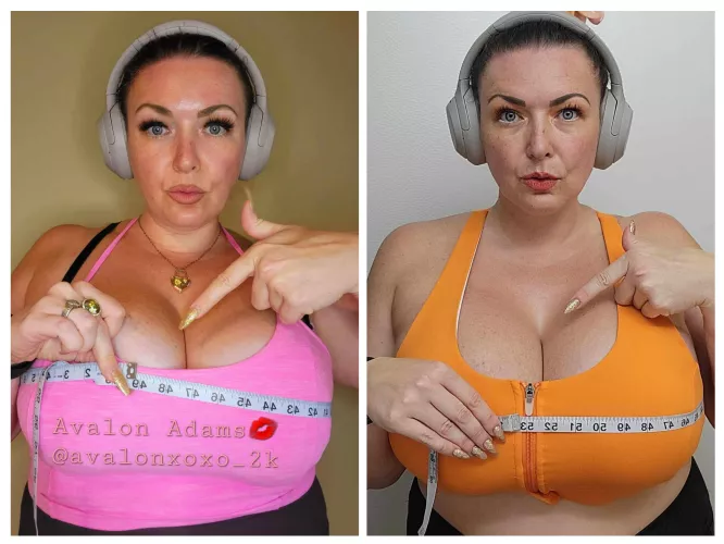 Oct 2022 - Sep 2023. Going bigger today!!!!!