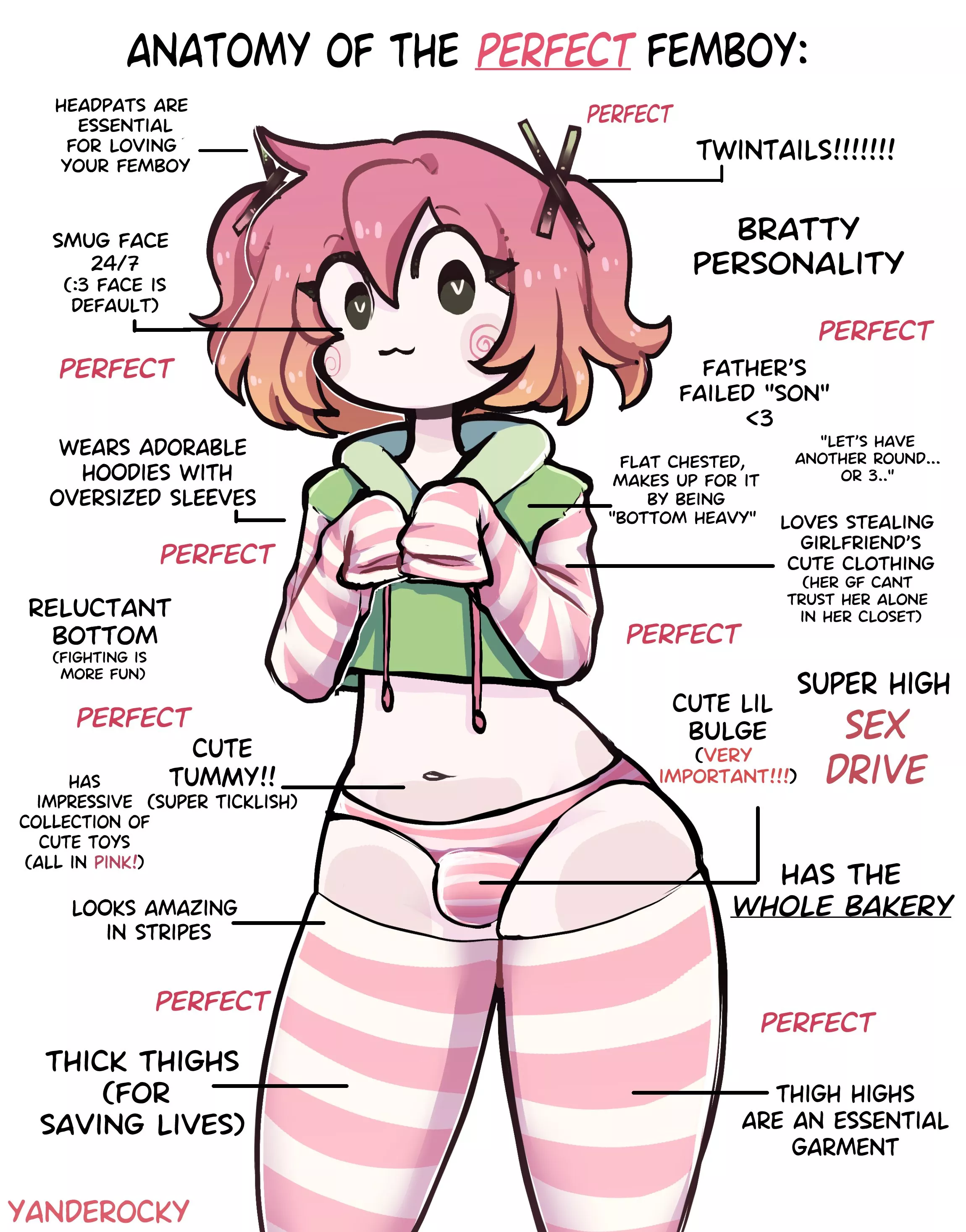 Perfect Femboy Anatomy