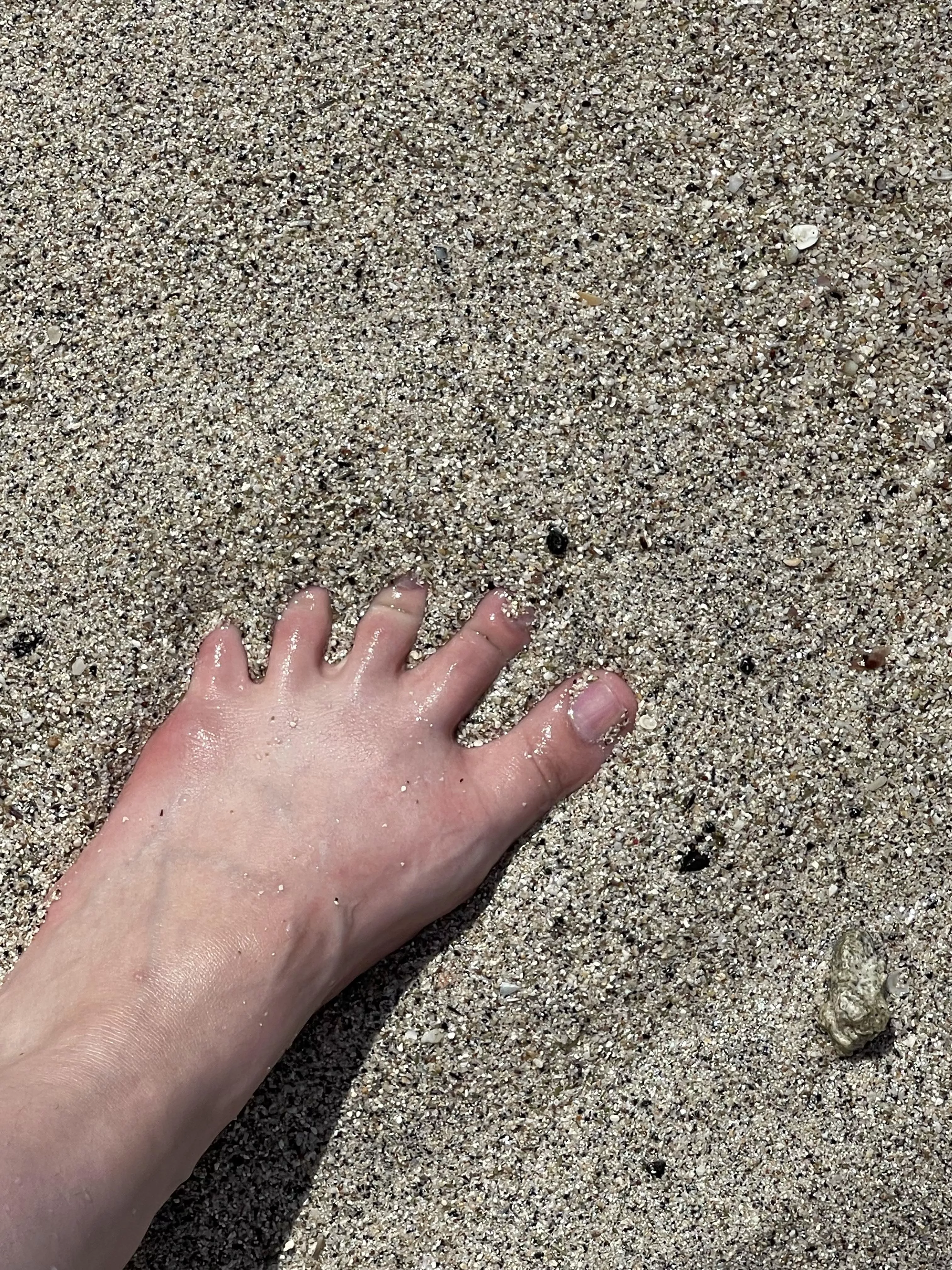 Really enjoying the beach! OC