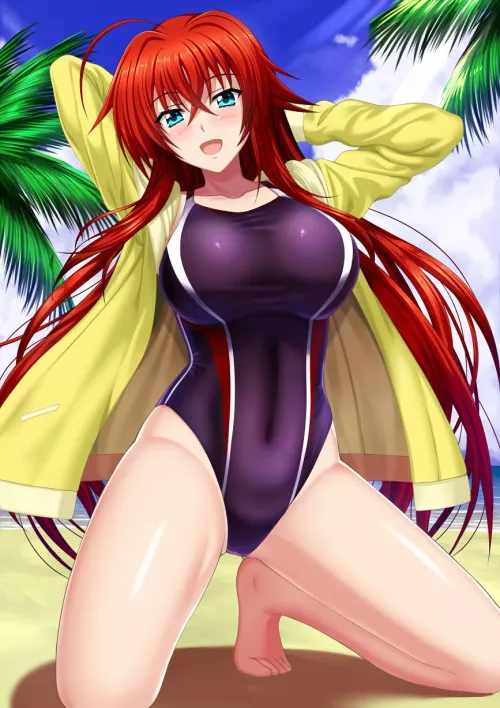 Rias Gremory Shows Off her Purple Swimsuit at the Beach [Highschool DxD] (Shibata Rai)