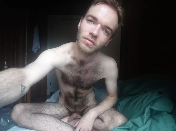 Sleepy otter 👋🏻