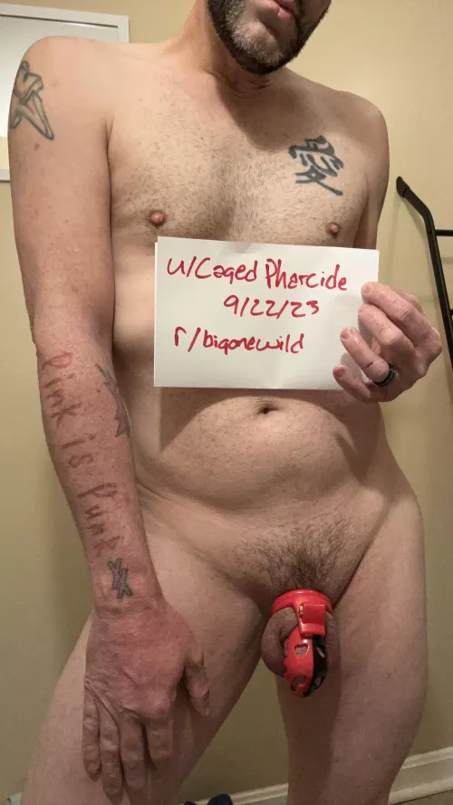 Can I get a verification