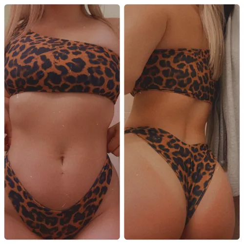 Looking for my caveman