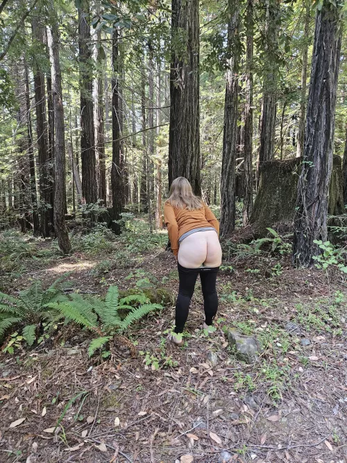 Nude forest bathing is great. Fucking in the forest is better.