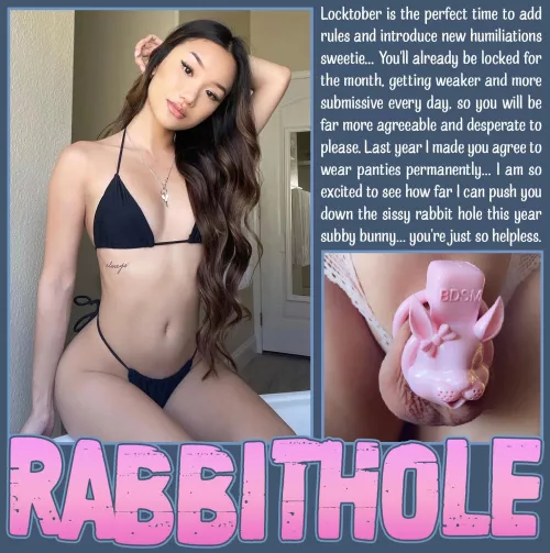 RABBITHOLE [chastity] [femdom] [sissy]