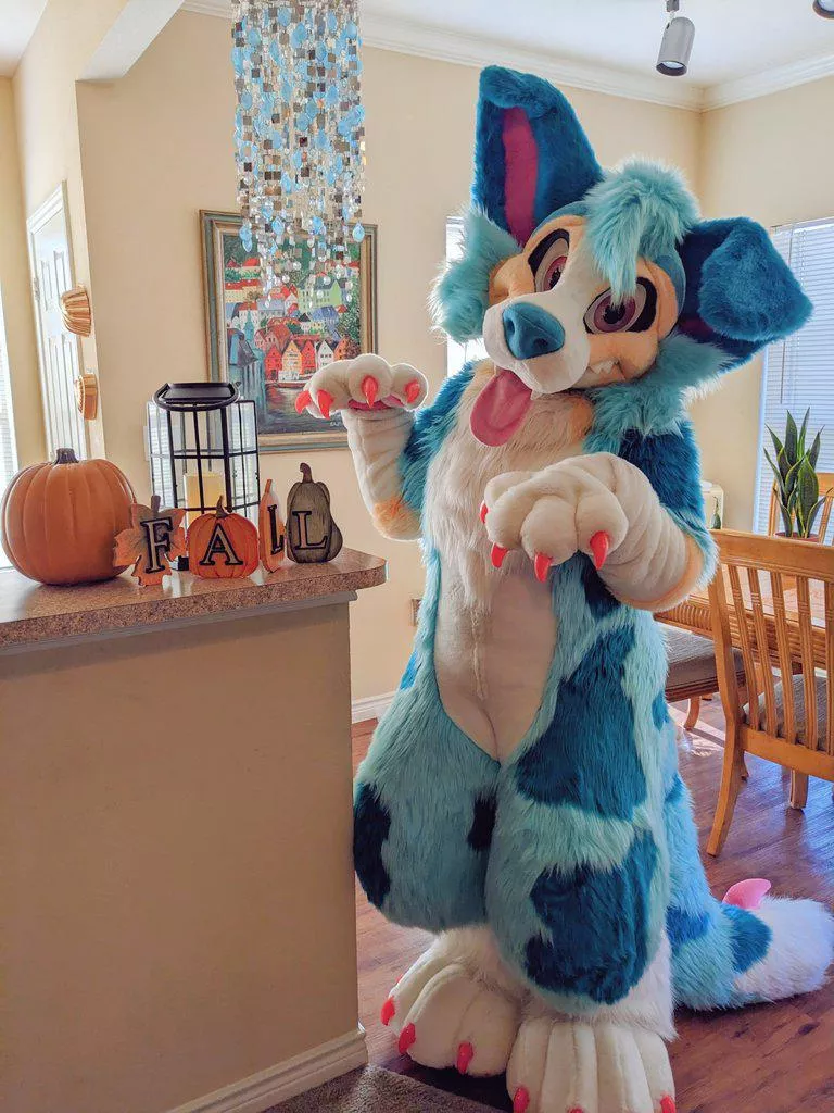 Tomorrow's the first day of Fall!