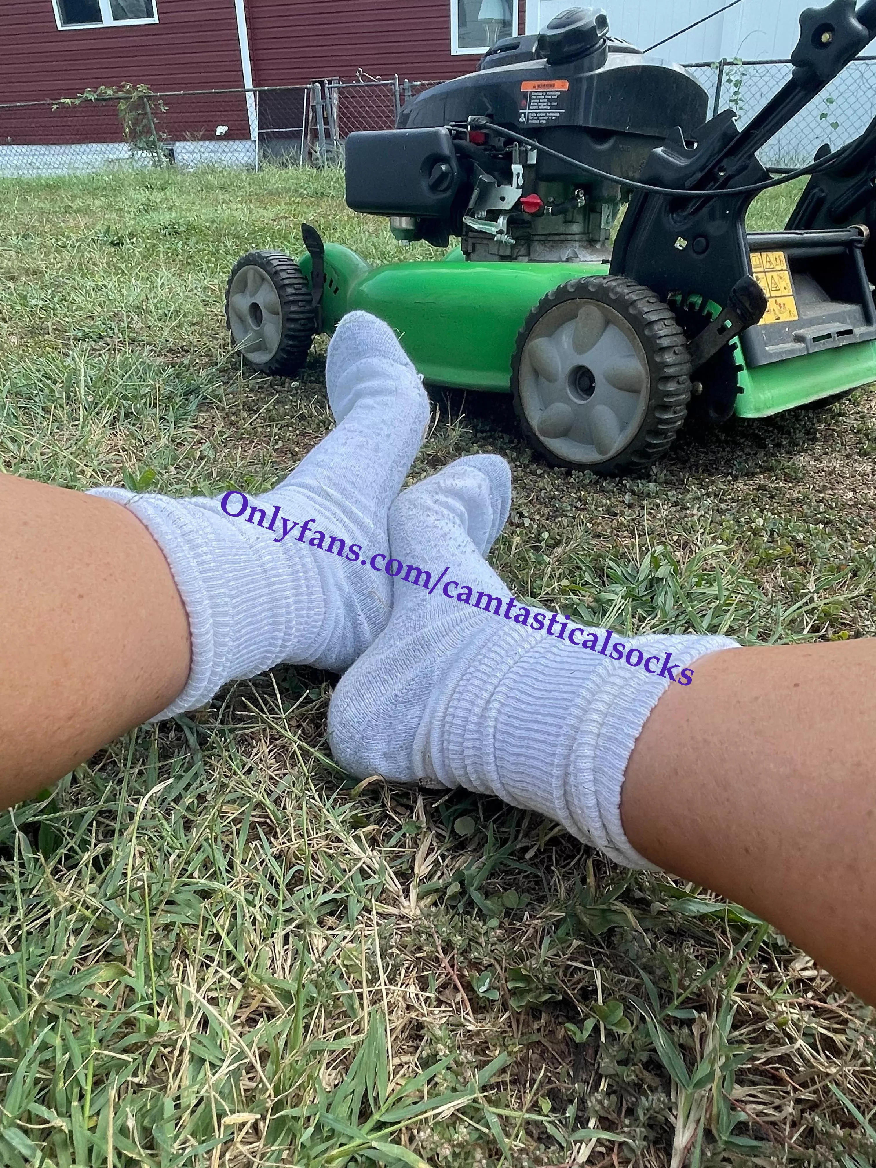 White Hanes Crew Socks