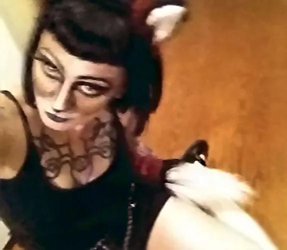 who's out here setting fox traps today?