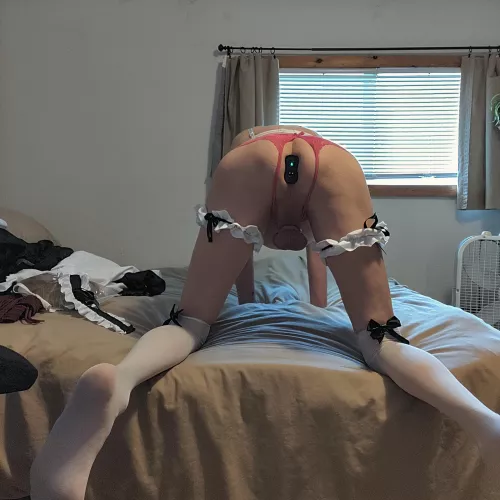 Wife said I'll get a surprise at the end of locktober