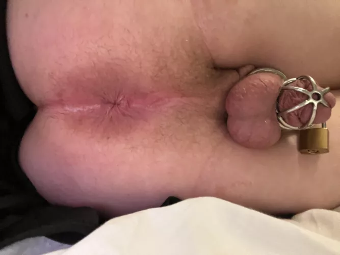 (19) only one option now