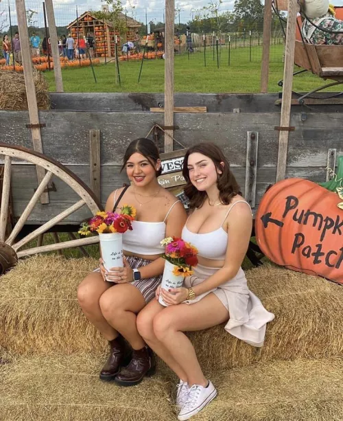 [2] at the pumpkin patch