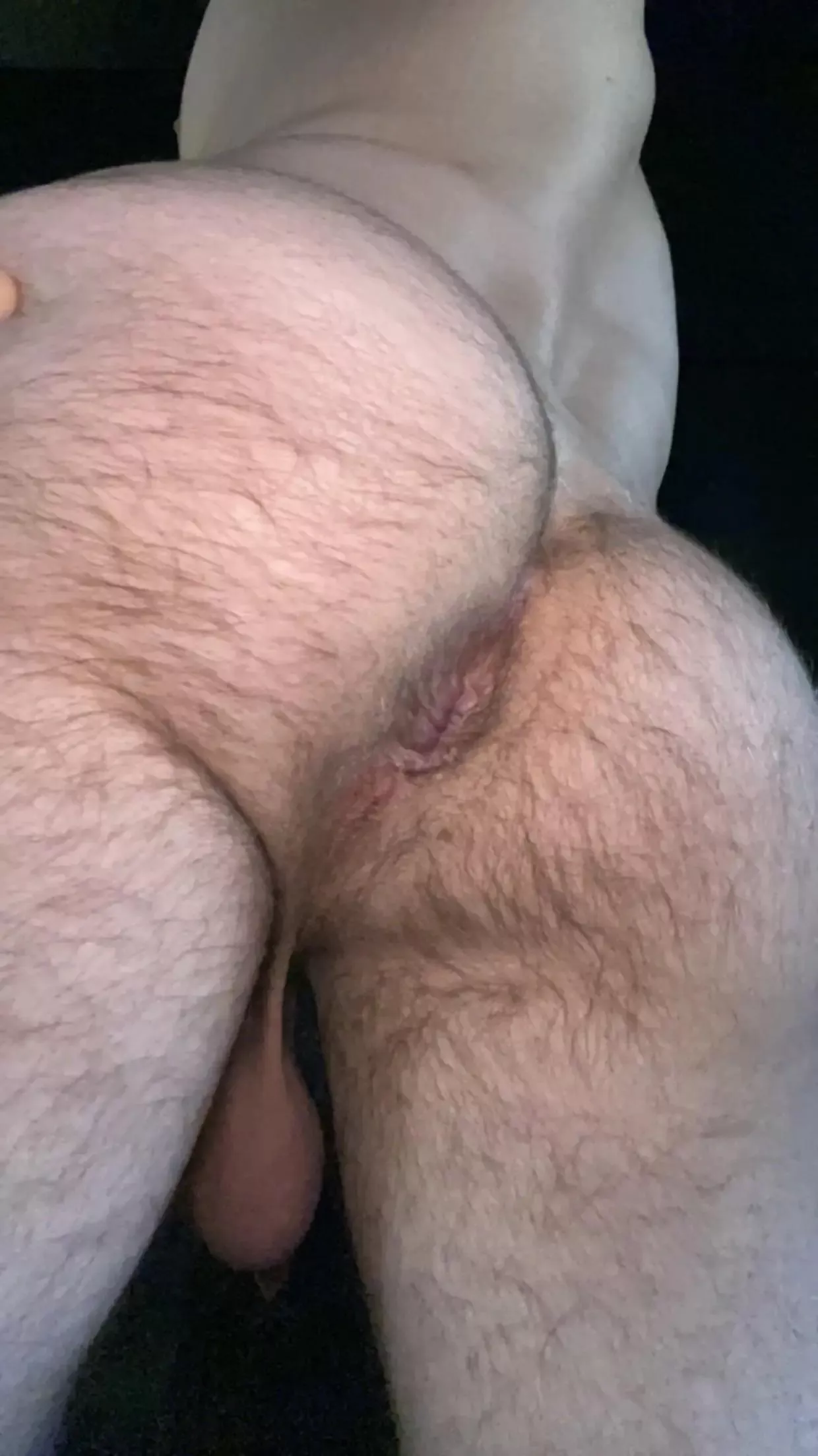 28. Furry fit and hungry for a breeding. DM for snap