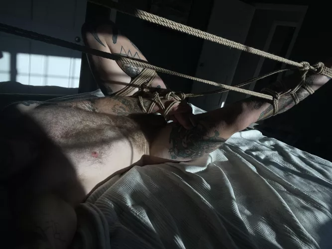 Been a little tied up lately