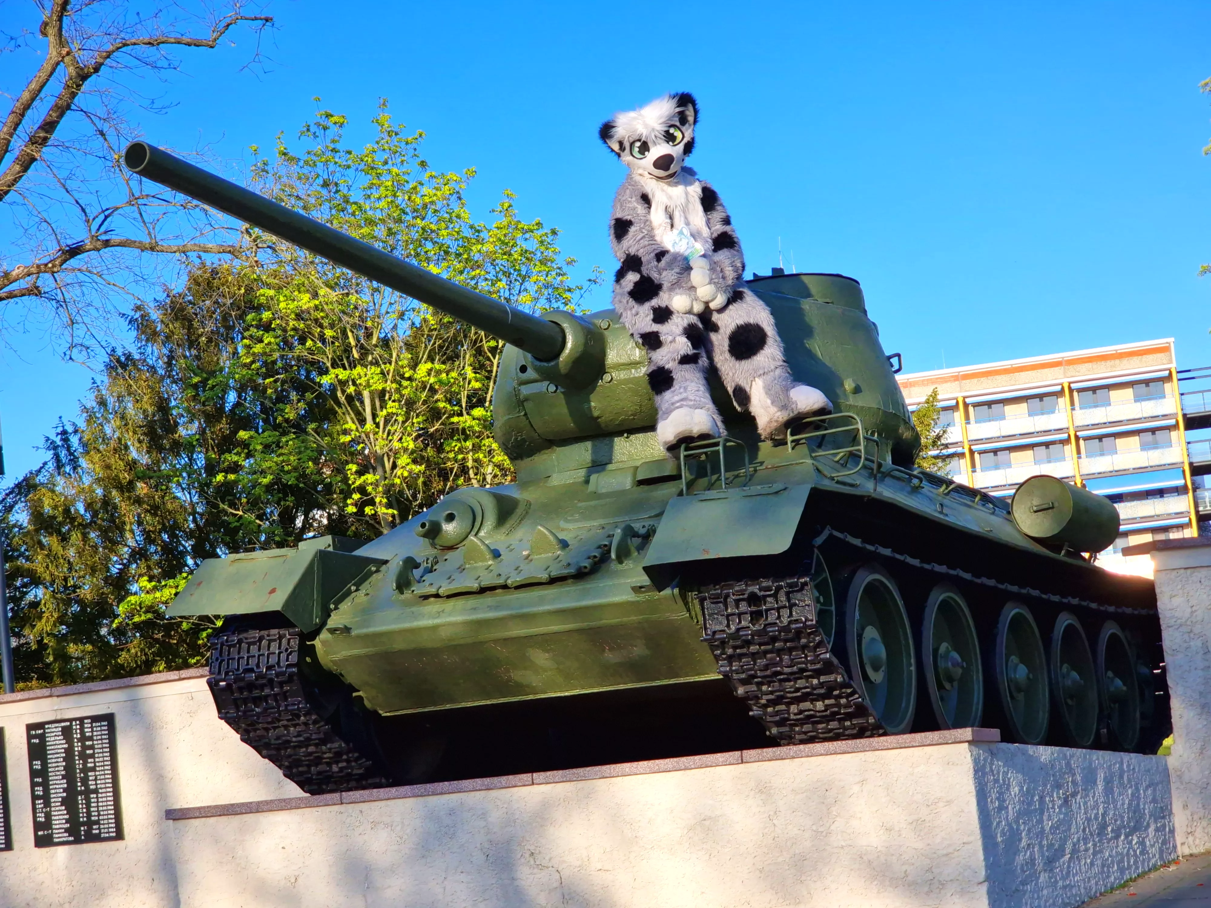 Happy late FursuitFriday!!! Is someone open for playing World of Tanks in real life with me? XD