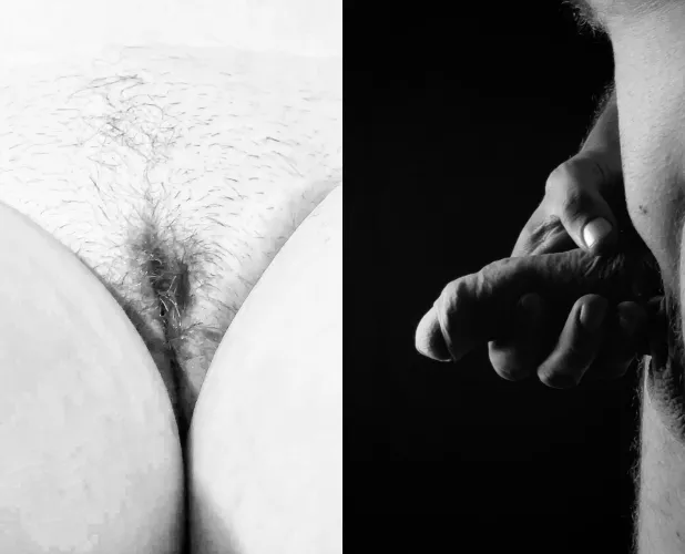 Here we both are. What do we look like to you?