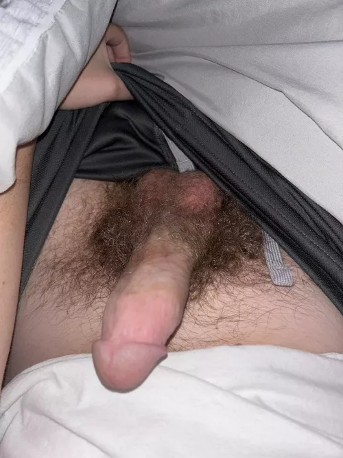 How’s my bush (DMs open)