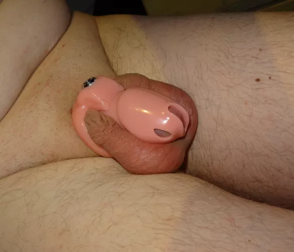 I love this little cage that forces me to stay limp and horny. Not getting to cum any time soon