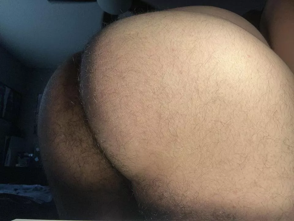 My ass has never been used, would you like to be the first?
