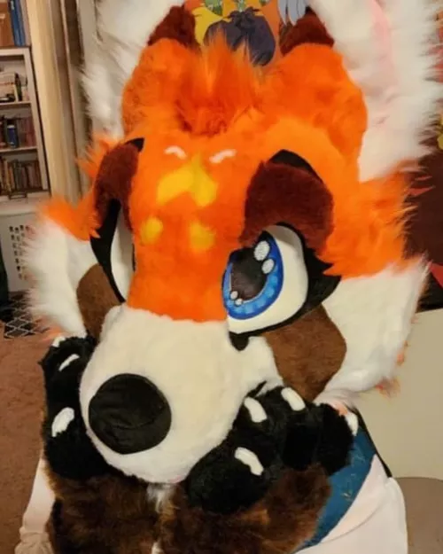 Out of 1-10, How cute am I?