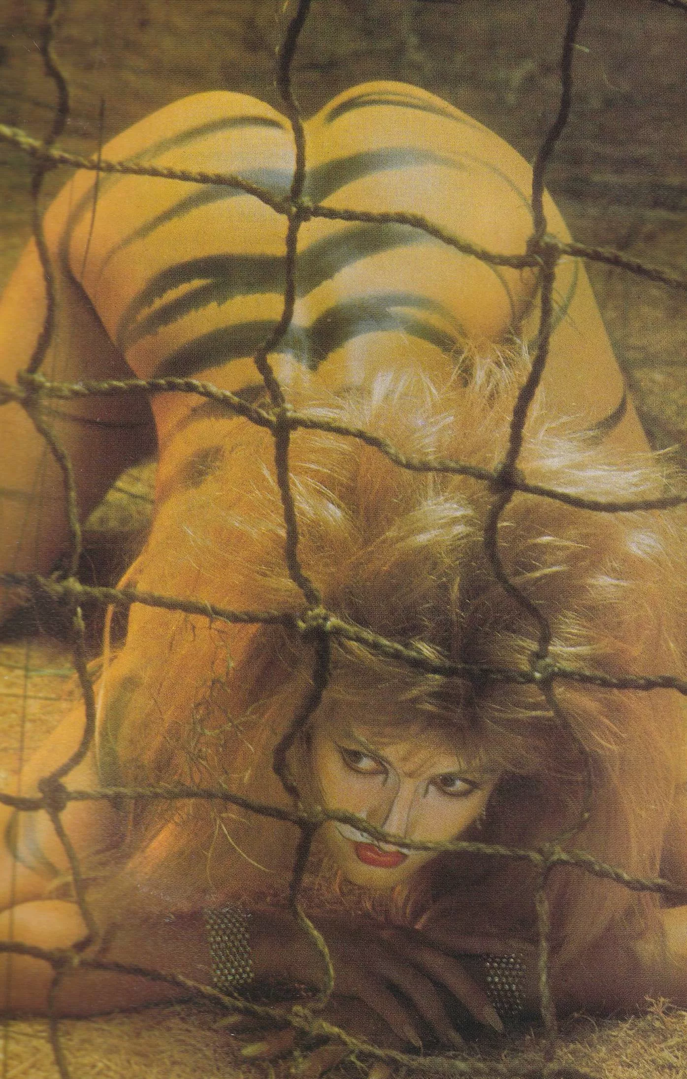 Playboy ||| November 1985