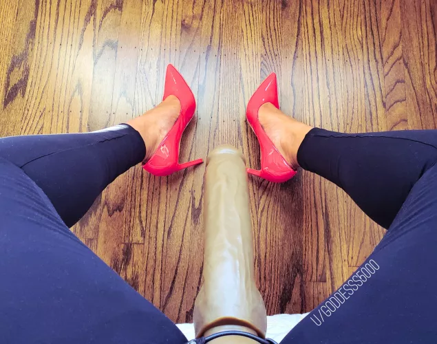 The perfect morning is you on your knees ready to swallow this Goddess cock before I slip it into your ass!