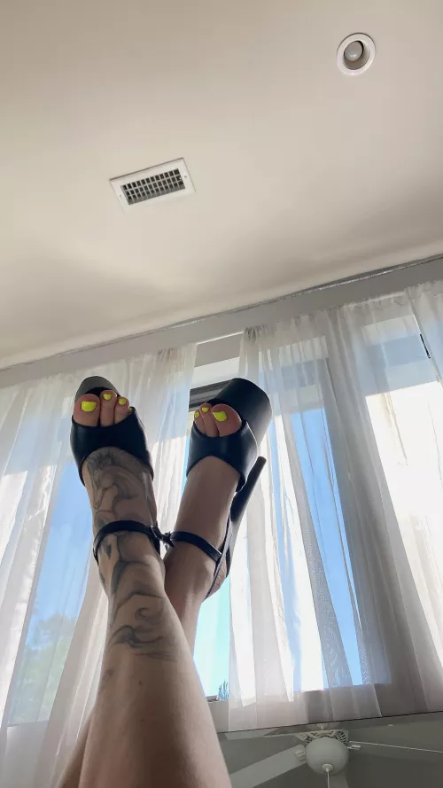 All dressed up & no where to go